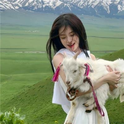 我的“狐朋狗友”