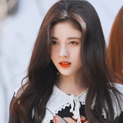 少年狮王